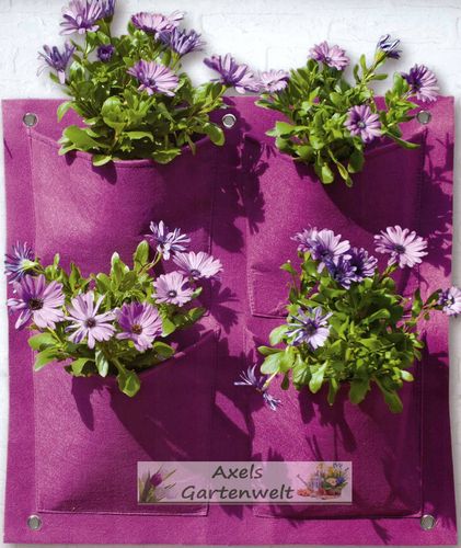 Pflanzenwand Lila mit 4 Taschen