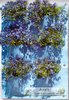 Pflanzenwand Blau mit 6 Taschen