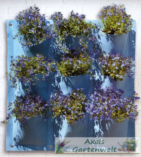Pflanzenwand Blau mit 9 Taschen